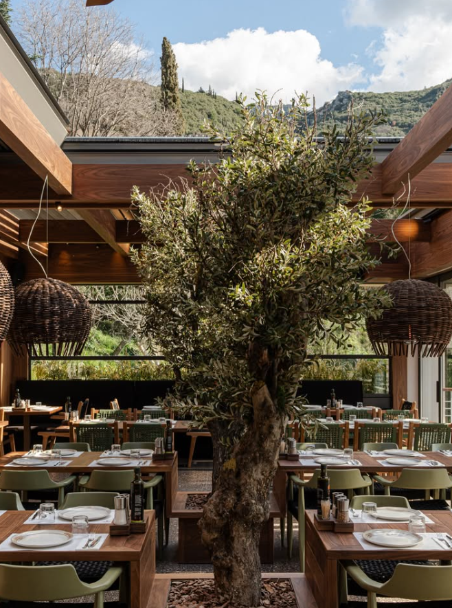 Η ελιά στο κέντρο του Castrizzi Grill με το τοπίο του Άνω Καστριτσίου